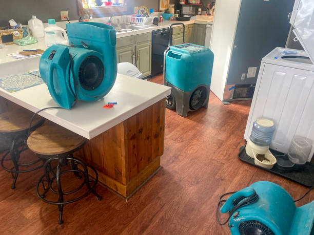 Best Commercial water damage restoration  in Alexandria Bay, NY