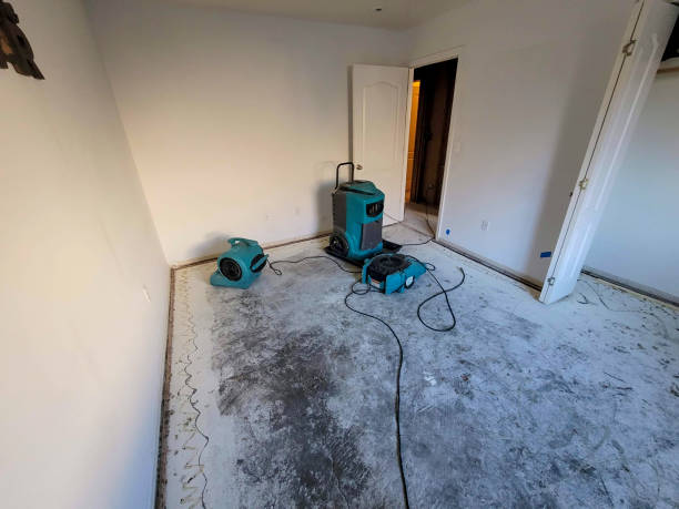 Best Water damage restoration mold remediation  in Alexandria Bay, NY