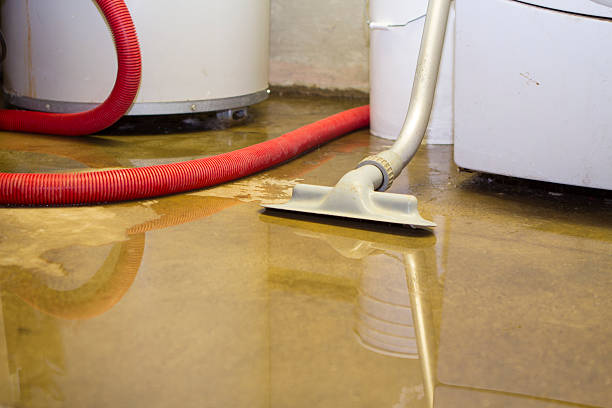 Professional Water damage restoration in Alexandria Bay, NY