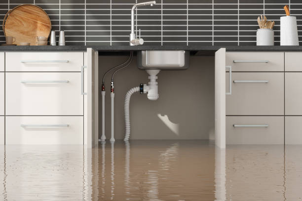 Best Carpet water damage restoration  in Alexandria Bay, NY