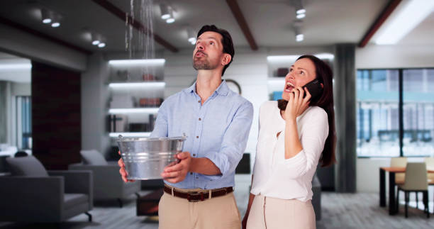 Best Flooded house restoration  in Alexandria Bay, NY